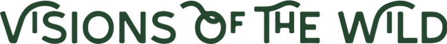 VoW Wordmark.png