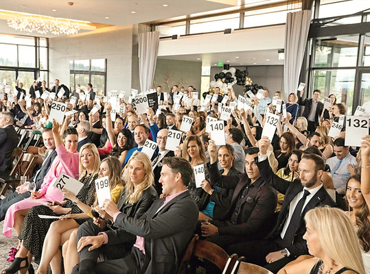 auction web_edited.jpg