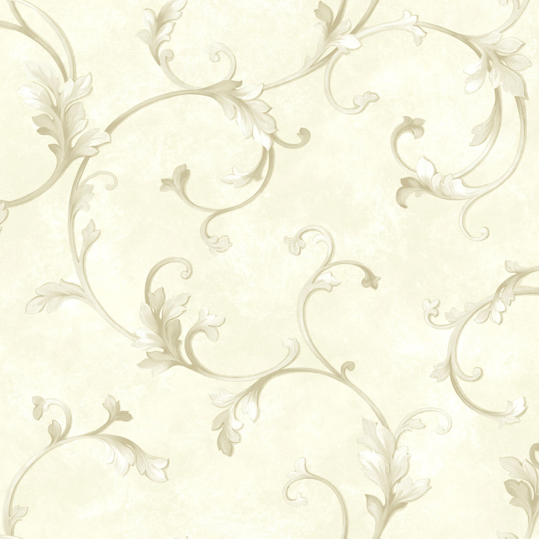 Arbor Rose - Voluta Cream Acanthus Scroll Wallpaper