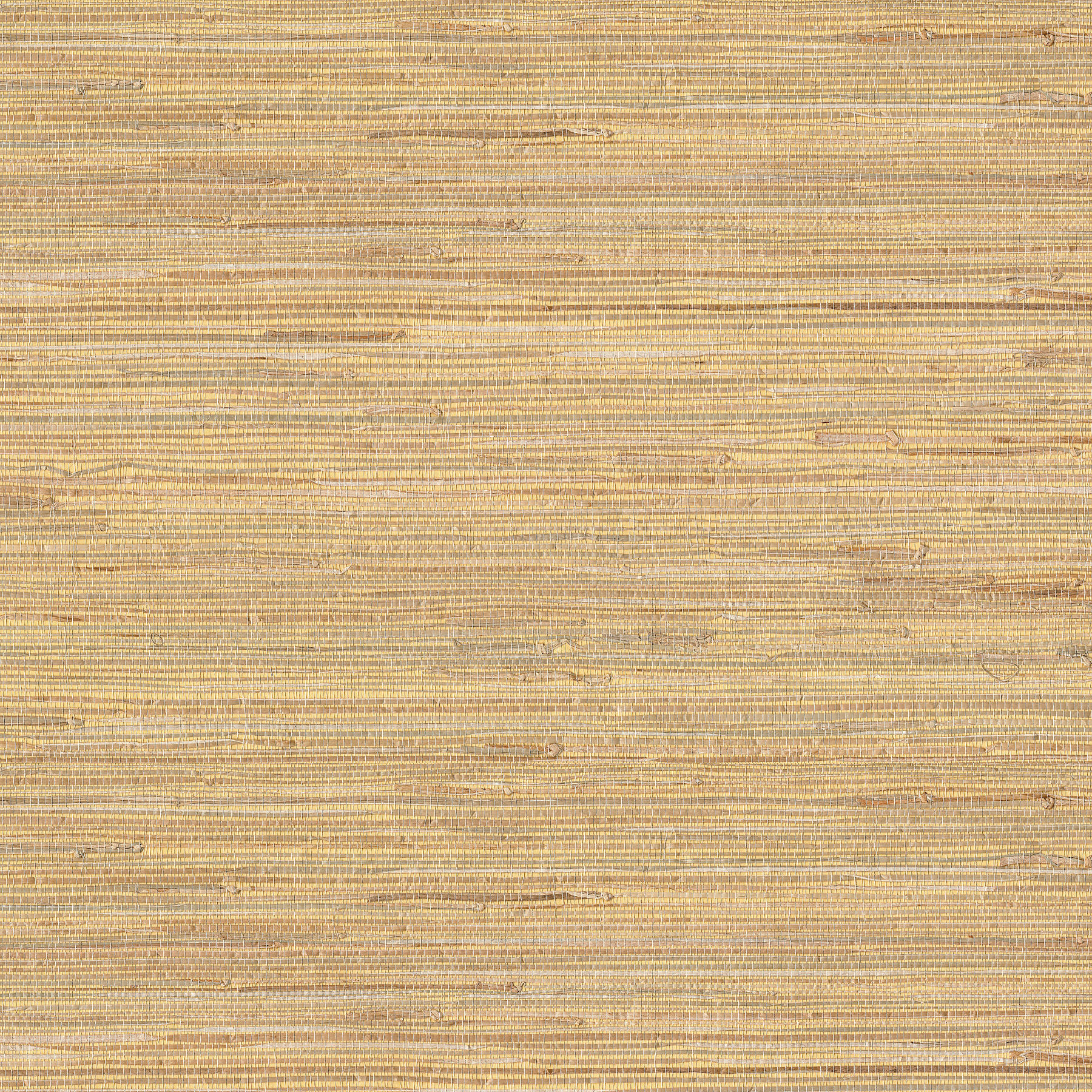 Grasscloth Portfolio by Advantage - Daria Beige Grasscloth Wallpaper