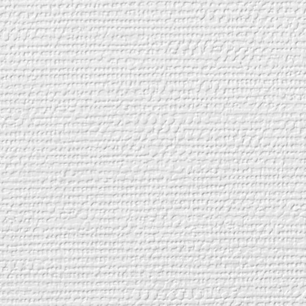 Anaglypta XII - Puffin Paintable Armadillo Wallpaper