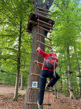 waldseilgarten klettern kelkheim.jpeg