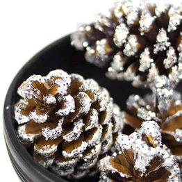 Yule