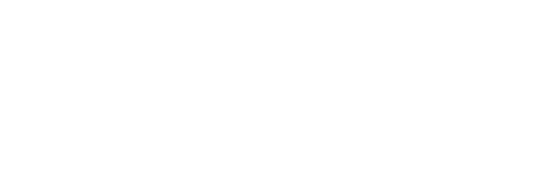 INDESTRUCTIBLE.PNG