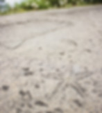Verve_Community_Web-41.jpg
