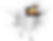 sliver_7.png