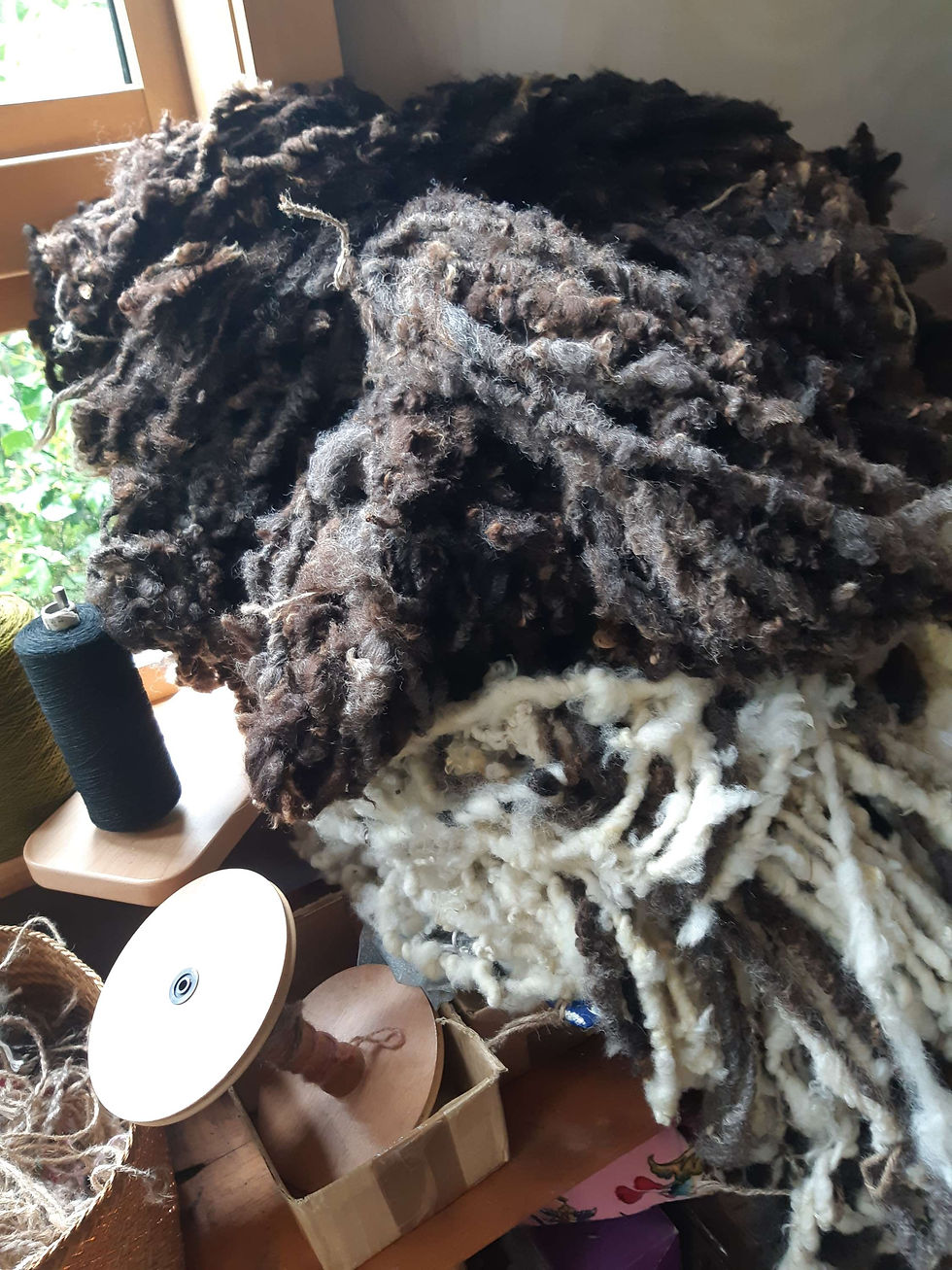 So many lovely colours & textures.