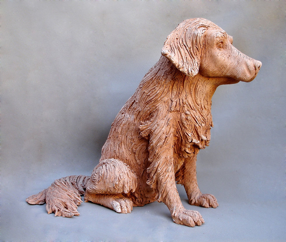 STOLI MAQUETTE