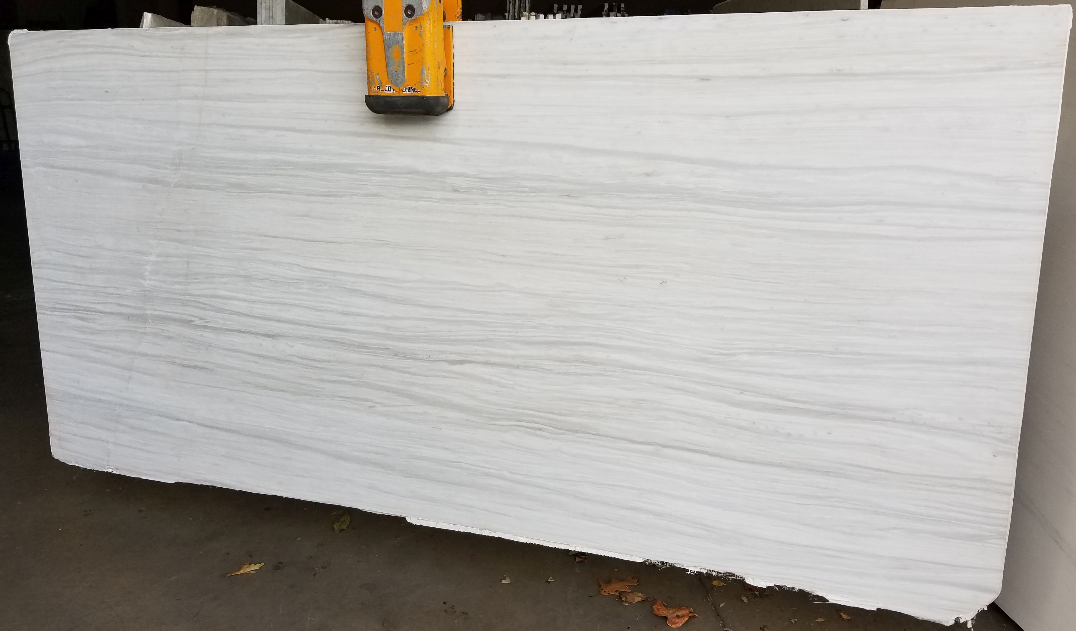 SIBERIAN WHITE (NESTOS)