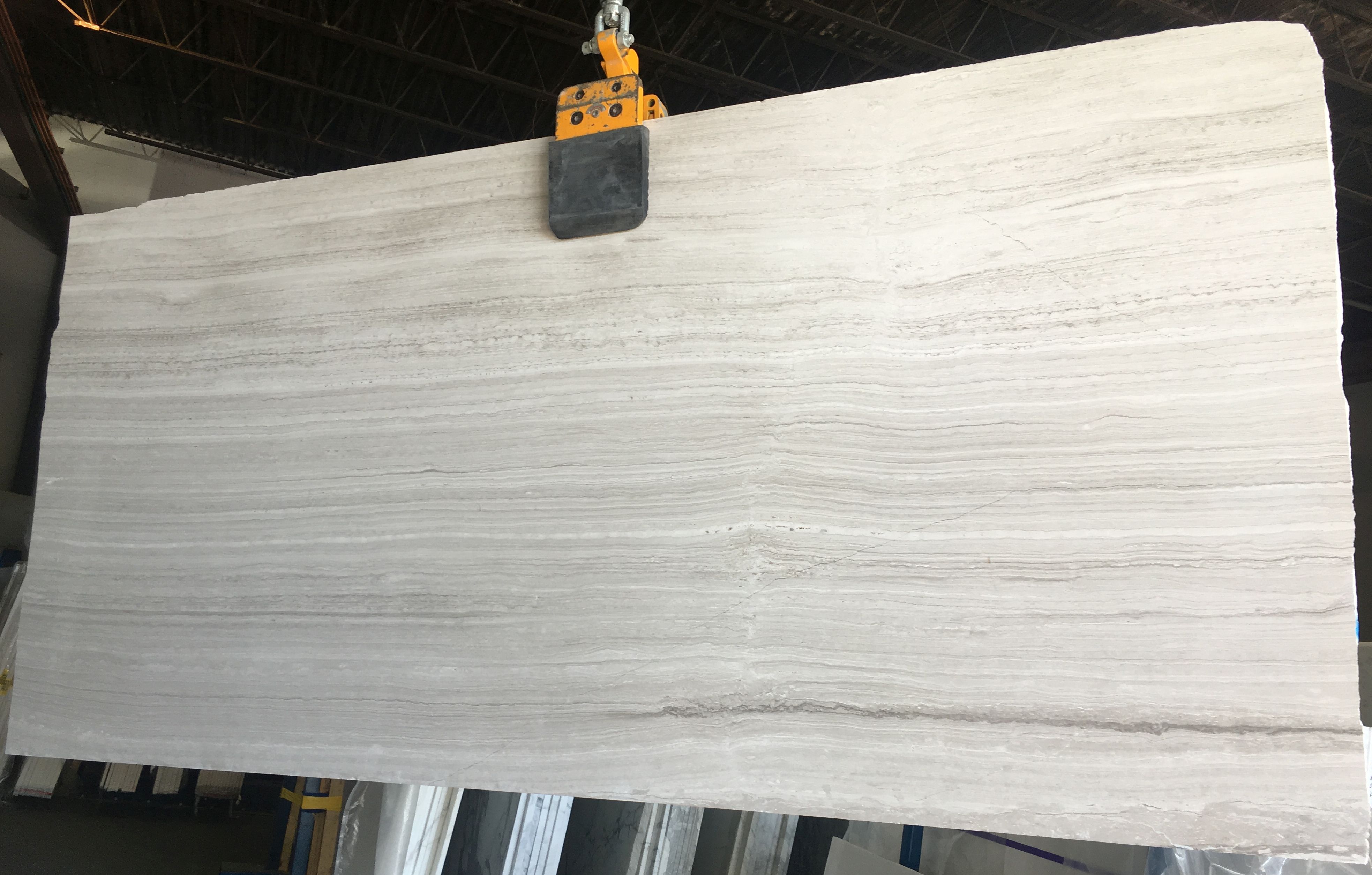 WOODEN WHITE