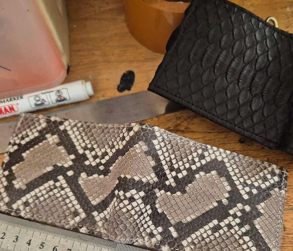 Thumbnail: Python Wallets