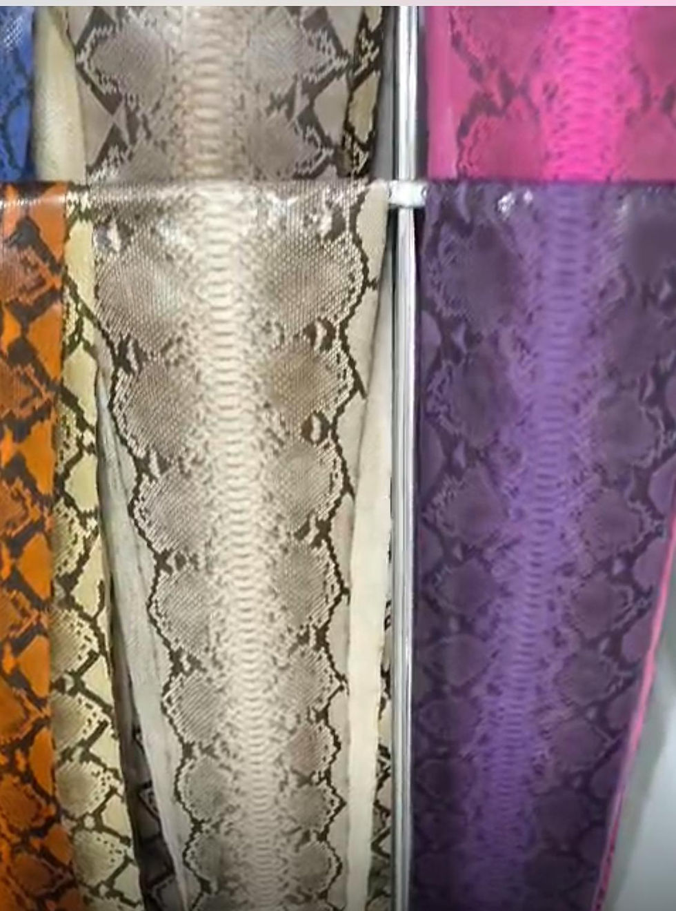 Thumbnail: Python Skin Hide (Not in California)