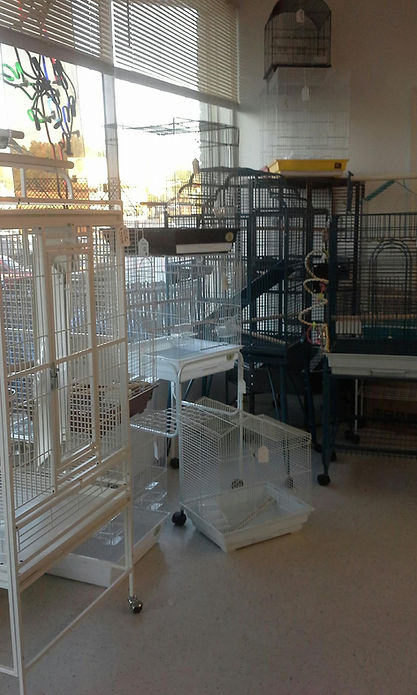 Picture of NJ Exotic Birds | Cages & Toys