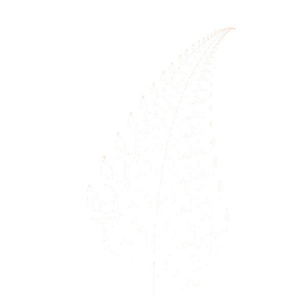 logo-feuille-orange.gif