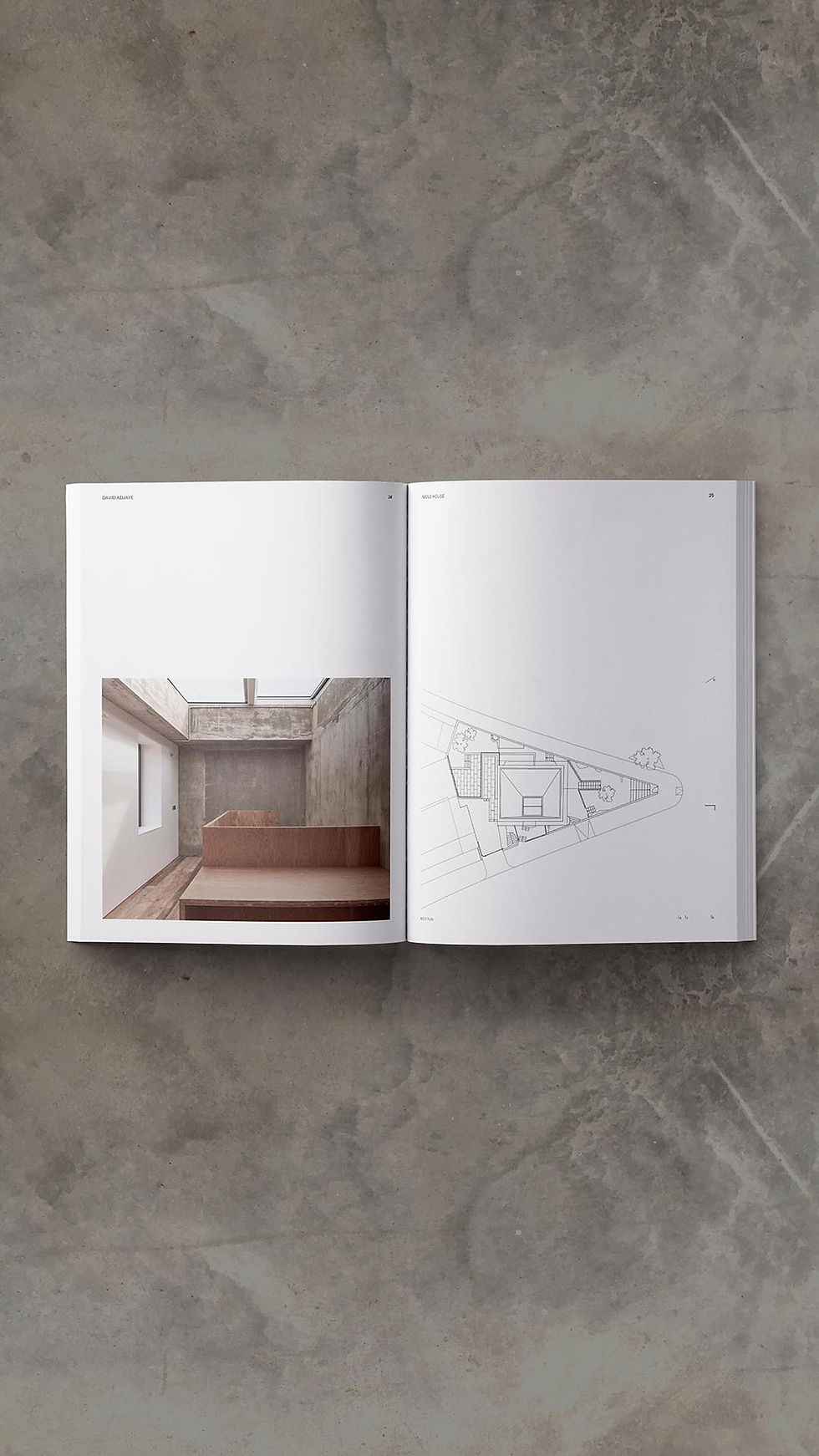 Thumbnail: LB 01 DAVID ADJAYE mole house