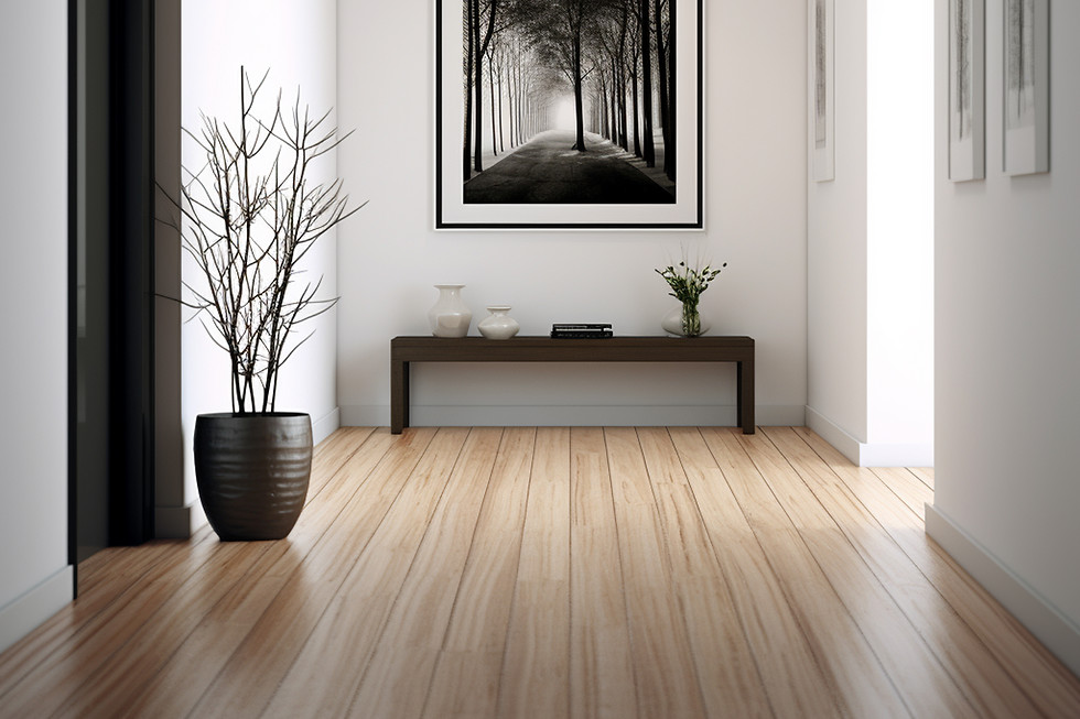 entrada-de-estilo-moderno.jpg