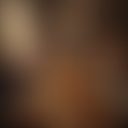 November 2025 Newsletter