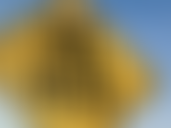 January 2026 Newsletter