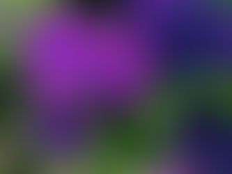 Welcome to 6th Grade!