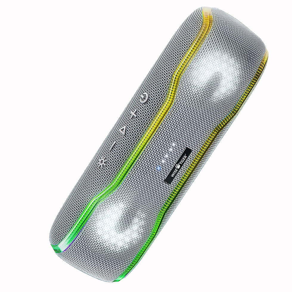 Thumbnail: WISETIGER Speaker Outdoor Portable IPX7 Waterproof Sound Box BT5.3 Louderspeaker
