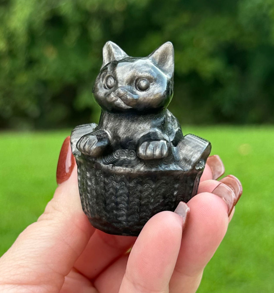 Thumbnail: Cat in Basket