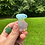 Thumbnail: Small Dog