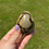 Thumbnail: Septarian Egg