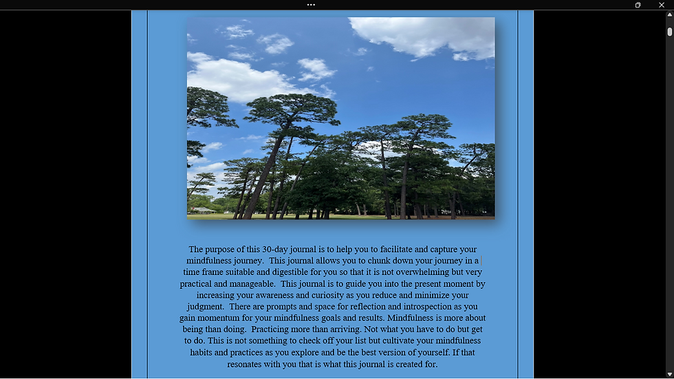 Thumbnail: Mindfulness 30-Day Journal