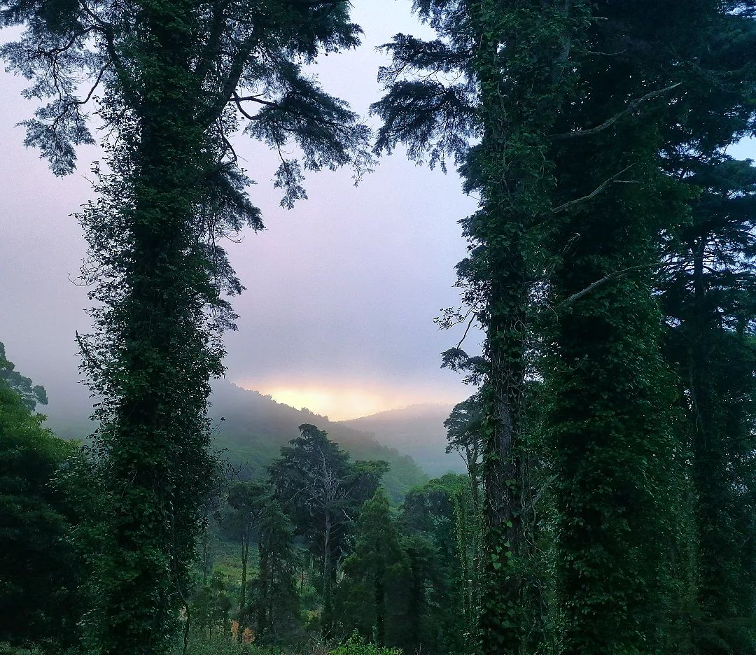 A Encruzilhada da Serra de Sintra - foto de Miguel Boim, O Caminheiro de Sintra (6).webp