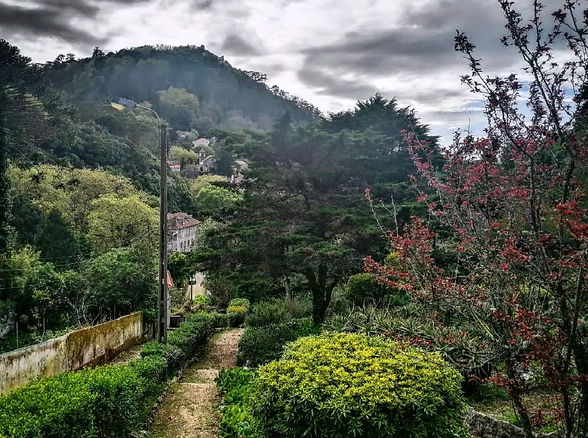 Twilight Hiking in Sintra With a Local Writer - Miguel Boim, O Caminheiro de Sintra (night