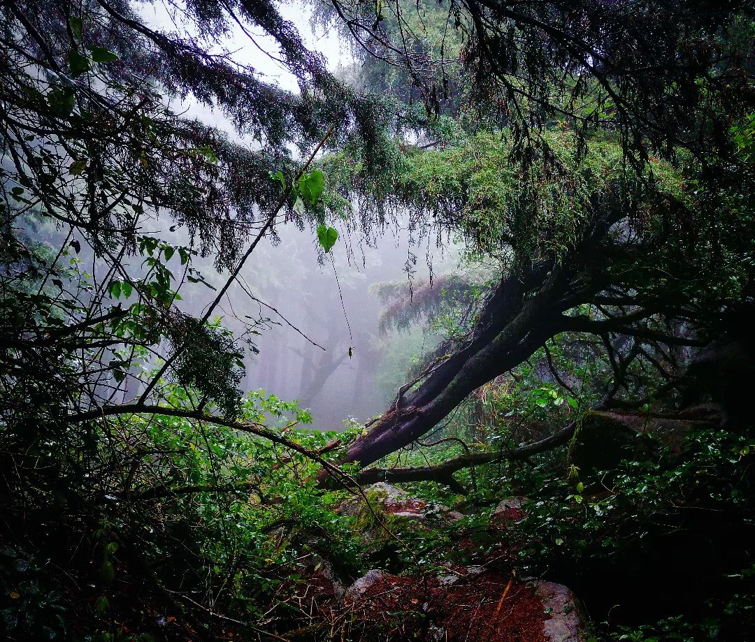 A Encruzilhada da Serra de Sintra - foto de Miguel Boim, O Caminheiro de Sintra (4).webp