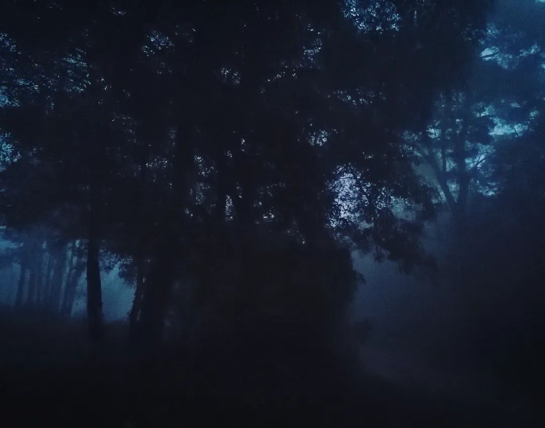 A Encruzilhada da Serra de Sintra - foto de Miguel Boim, O Caminheiro de Sintra (2).webp