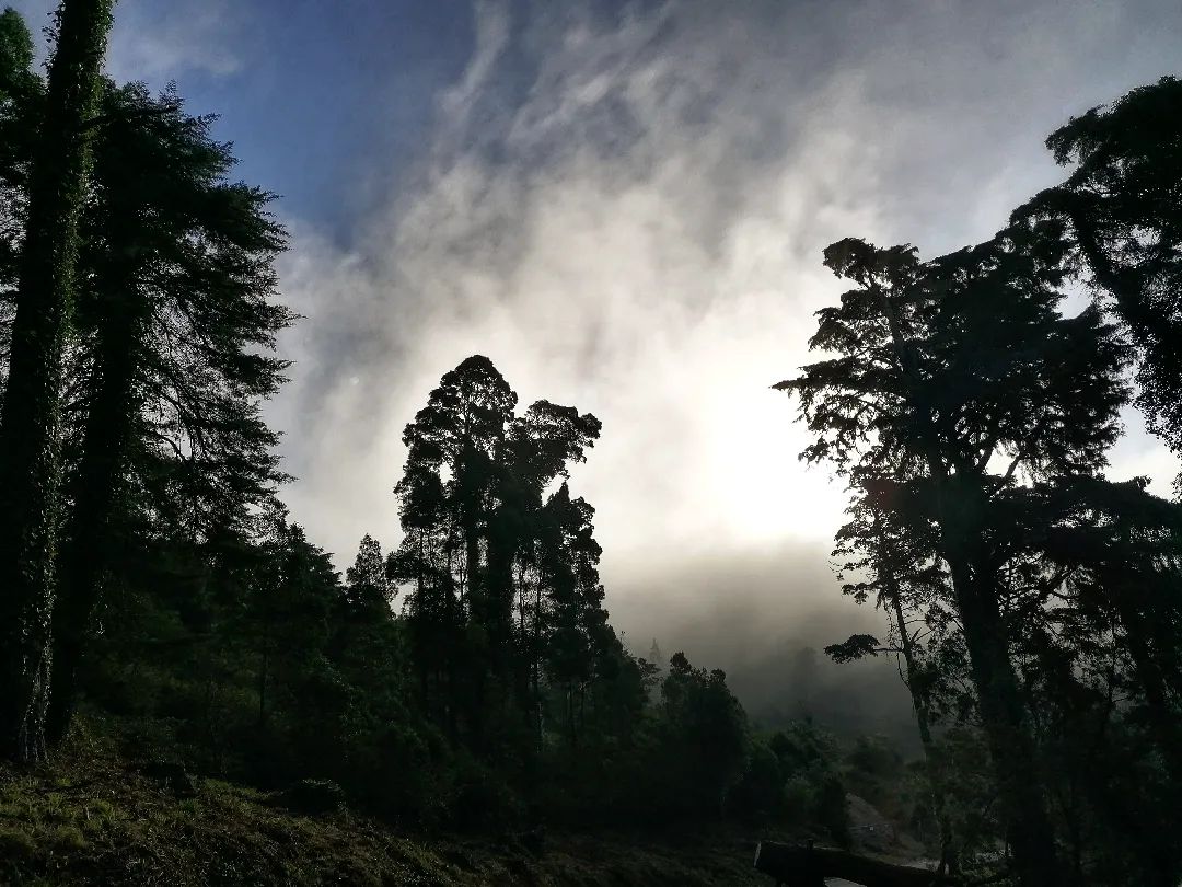 A Encruzilhada da Serra de Sintra - foto de Miguel Boim, O Caminheiro de Sintra (5).webp