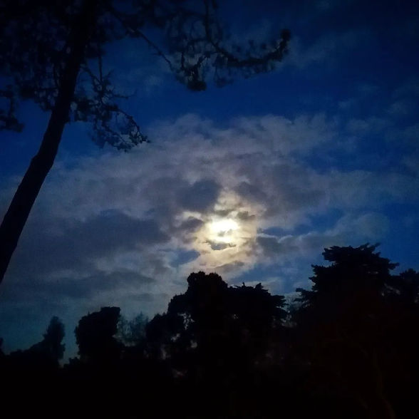 A Encruzilhada da Serra de Sintra - foto de Miguel Boim, O Caminheiro de Sintra (1).webp