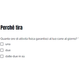 Screenshot 2024-08-31 151025_edited.png