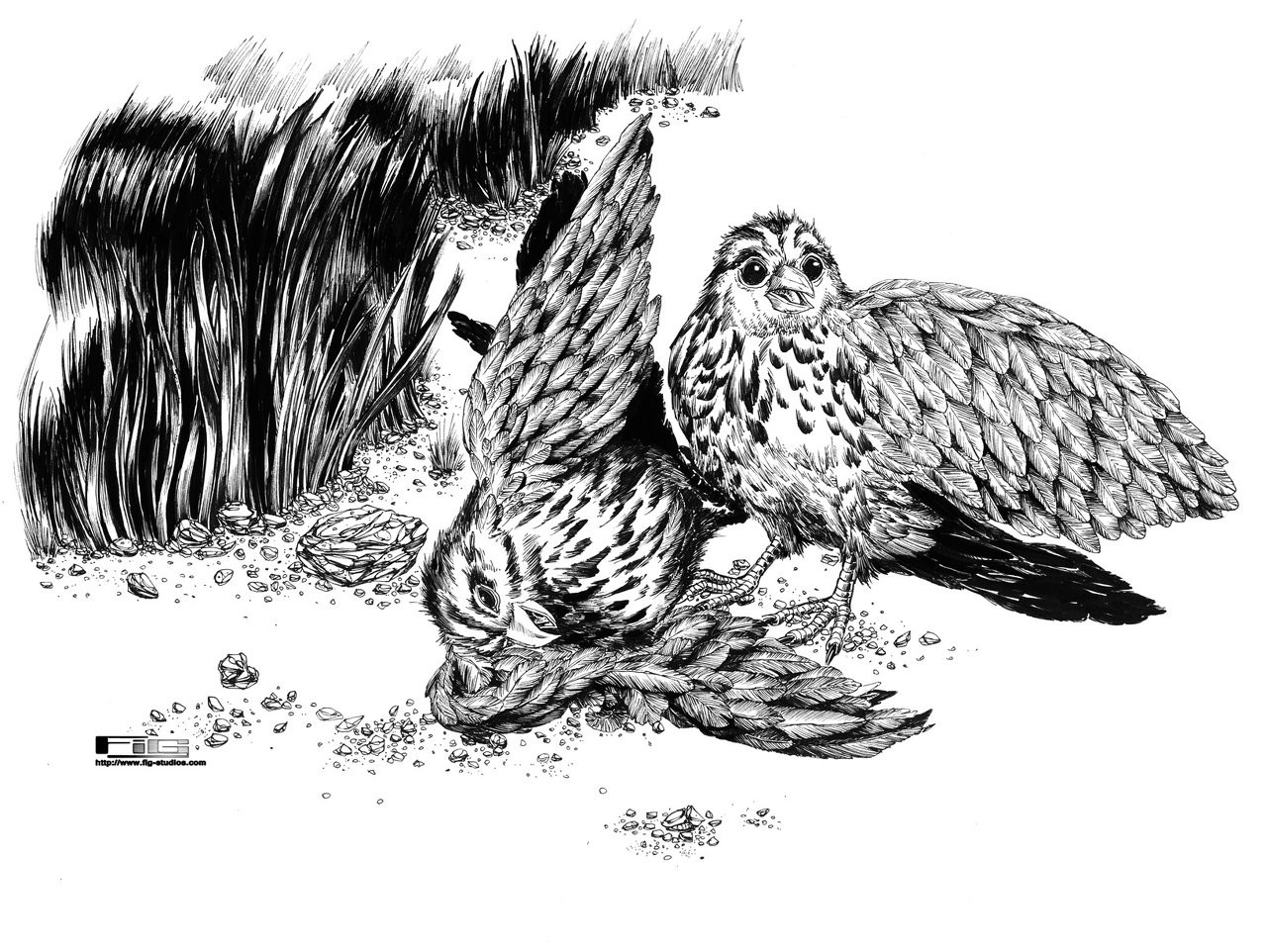 Chapter Illustration - Wounded (ink)
