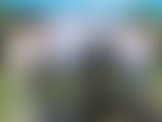 Paul Oz Ayrton Senna sculpture revealed at the Adelaide Motorsport Festival 