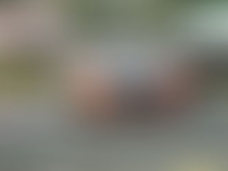 Schedule released for the 2026 Repco Adelaide Motorsport Festival