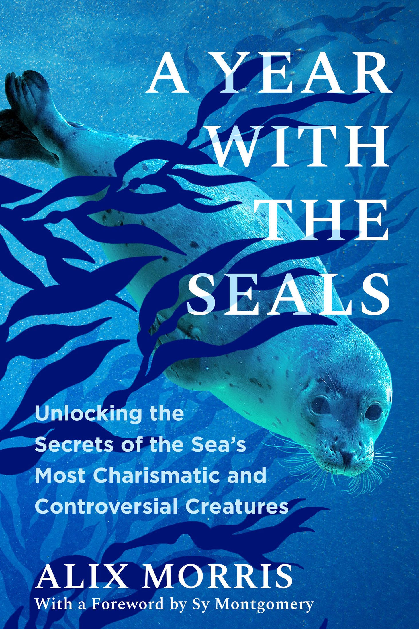 A Year with the Seals: Unlocking the Secrets