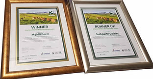 Executive frames for A3 certificates, Gold and silver with a bead slip and double mount.