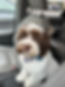 IMG_6866.jpeg