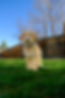 D54AE828-7D46-4F16-9EB4-5F1D1B79B0DF.jpeg