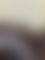 Border Paving a Garden Shed