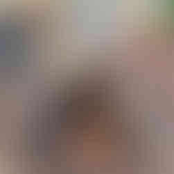 Figure 1 Bricks and blocks