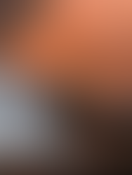 Fixing a Roof Leak From Beneath