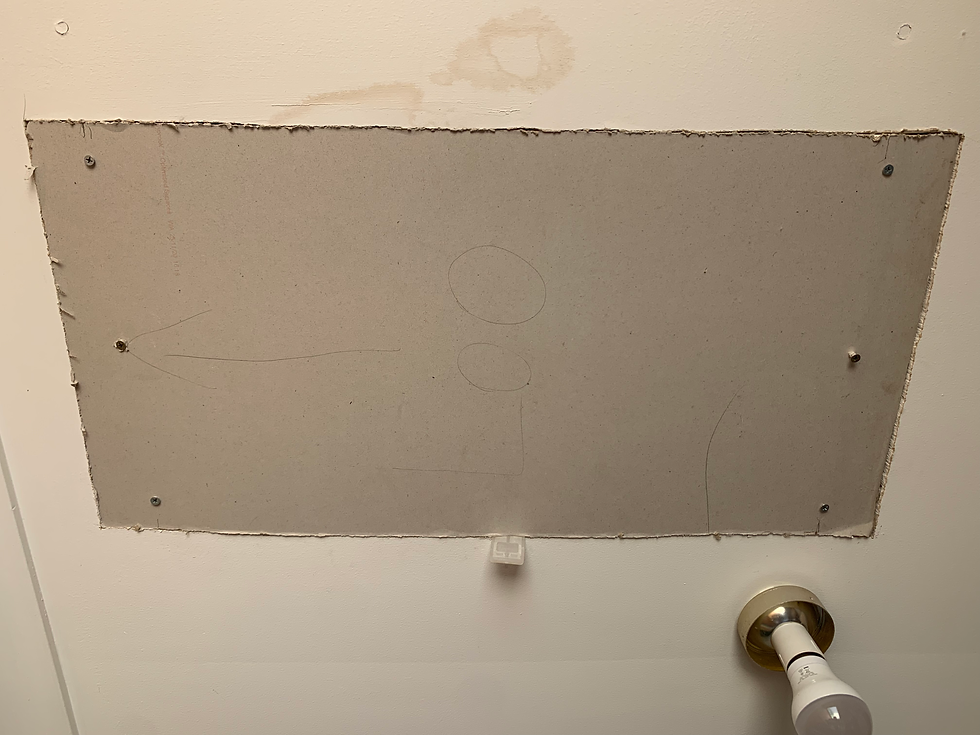 Ceiling patch screwed in place