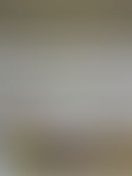 When the Lure of Flexibility Overcomes Laziness - Doing Shopping and Cooking