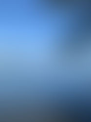 Swan River By Foot - Get Your Nature Fix