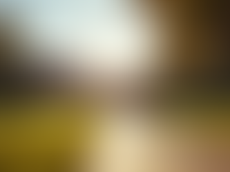 Top Reasons to Choose Southwestern Christian College