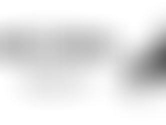 Melania poster via Youtube